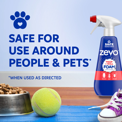 Zevo Trap & Kill Foam Insect Killer for Roaches & Spiders 12oz - Image 4