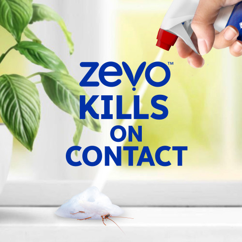 Zevo Trap & Kill Foam Insect Killer for Roaches & Spiders 12oz - Image 5
